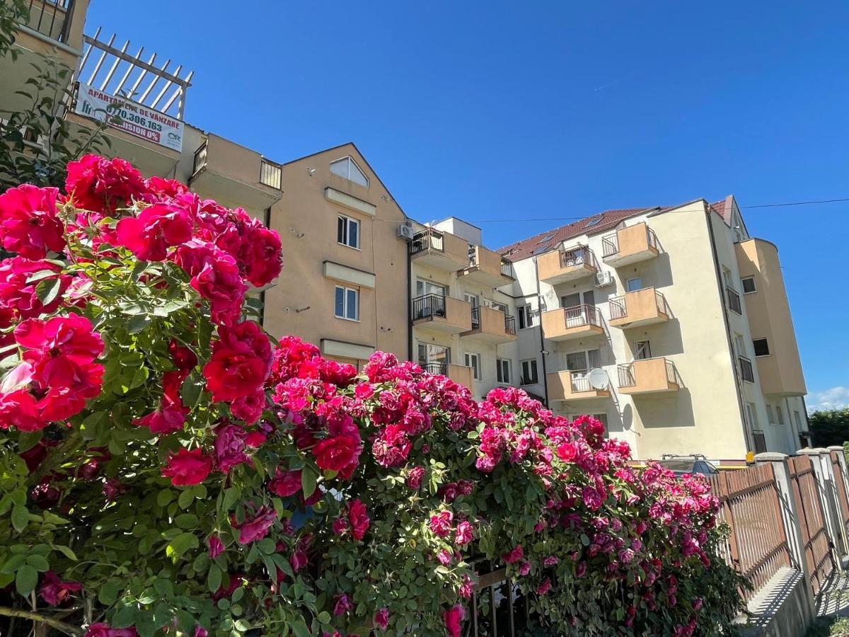 קלוז'-נאפוקה Diana'S Crib Aparthotel M14 מראה חיצוני תמונה
